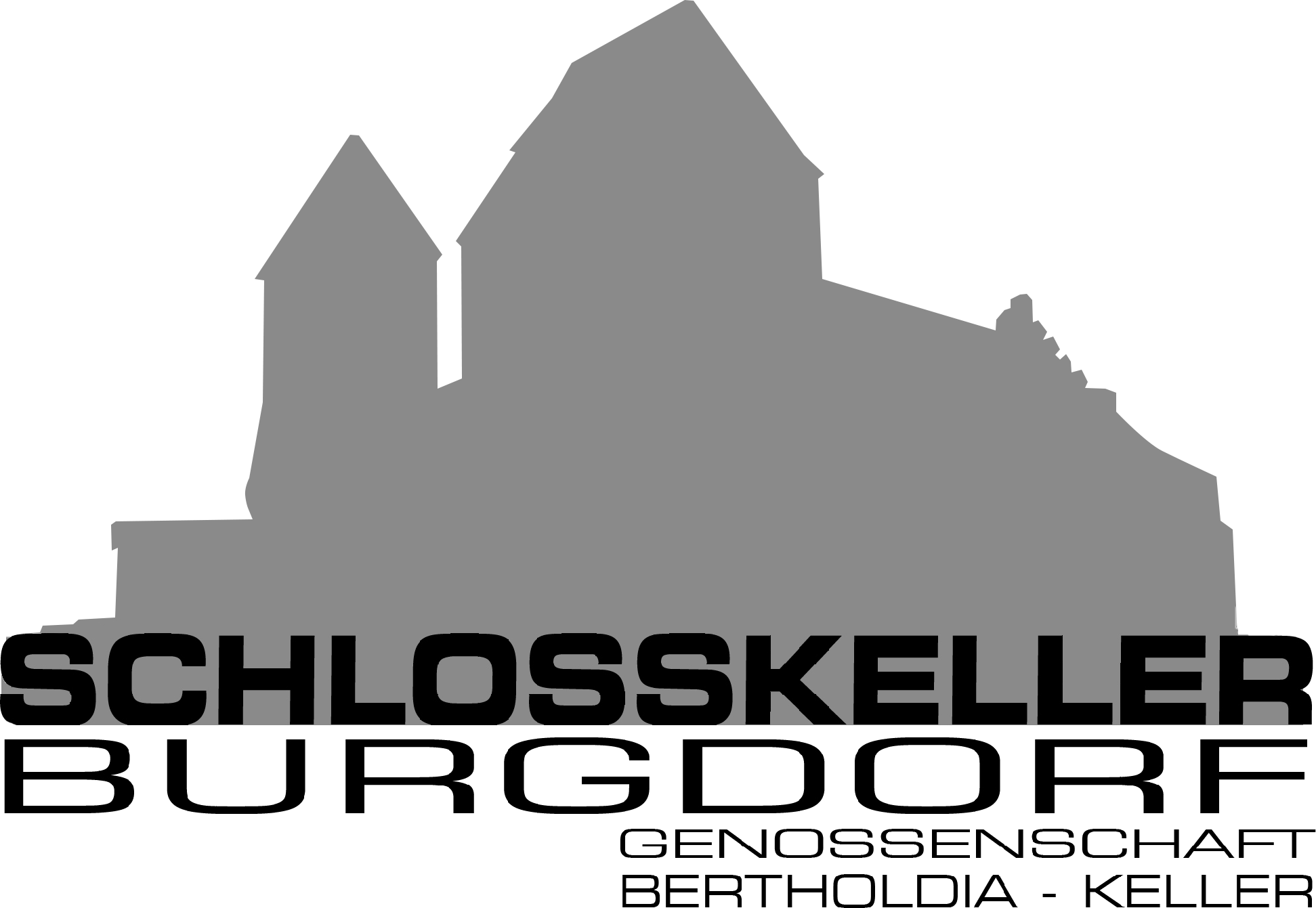 Schleo_Logo_alt_korrigiert